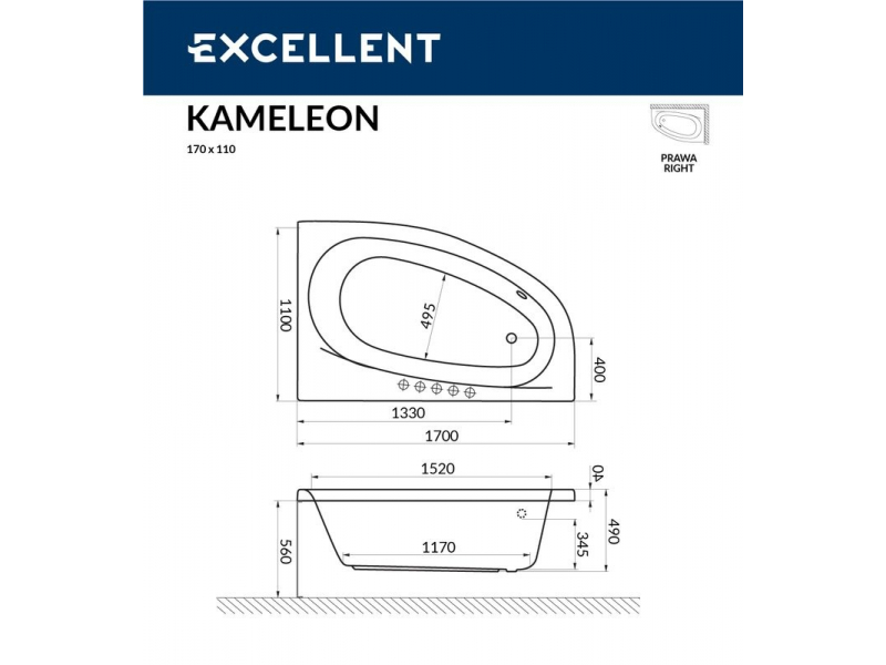 Купить Ванна гидромассажная Excellent Kameleon 170 x 110 см, P RELAX, хром