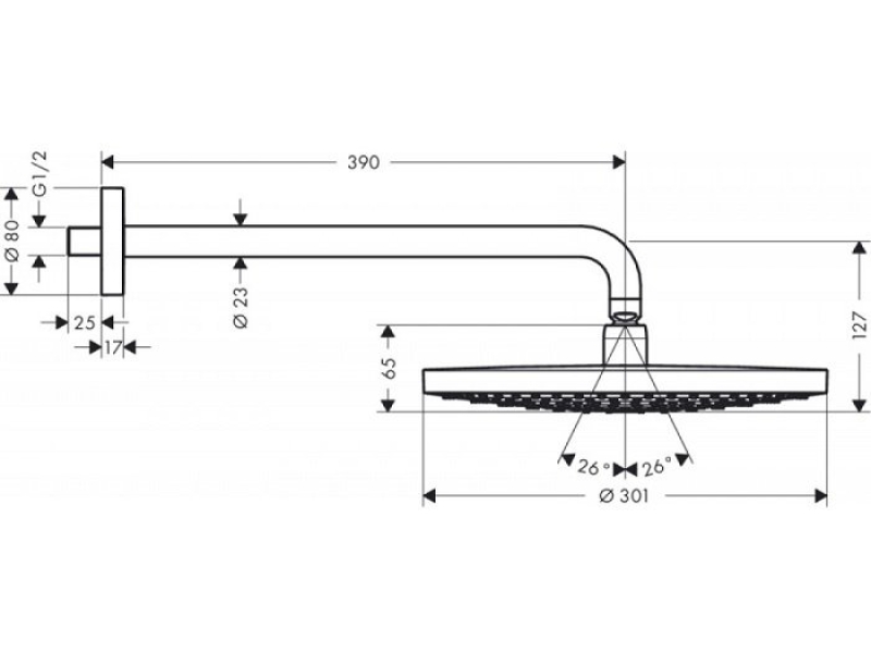 Купить Верхний душ Hansgrohe Raindance Select S 300 2jet хром 27378000