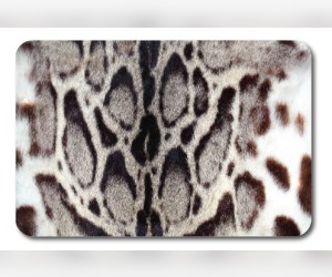 Коврики для ванной и туалета Veragio Carpet VR.CPT-7200.04 68 х 45 см + WC 45 x 40 см, рисунок Jaguar