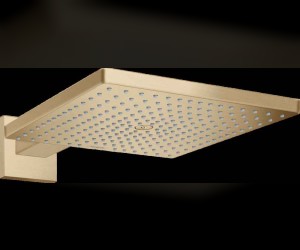 Верхний душ Hansgrohe Raindance 26238140, 300x300 мм, 1 режим струи, с держателем, шлифованная бронза