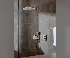 Верхний душ Hansgrohe Raindance 26238140, 300x300 мм, 1 режим струи, с держателем, шлифованная бронза