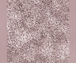 Коврик WasserKraft Kammel напольный, цвет - розовый, 55 х 57 см, BM-8339 Chalk Pink