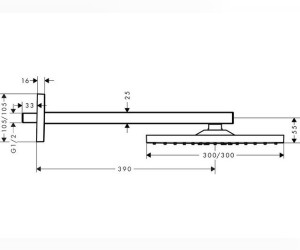 Верхний душ Hansgrohe Raindance 26238000, 30х30 см, 1 режим струи, с держателем, хром